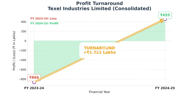 “ Analyse Financial Performance Of Texel Industries Limited”